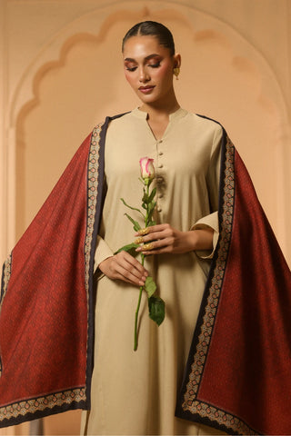 Aahang (Rhythm) - Stole