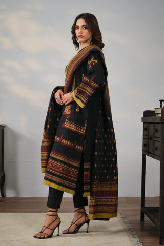 Mah-e-Noor (Moonlight) Co-Ord Set