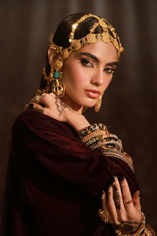 Shirin (Delightful) Velvet Set